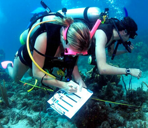 Bahamas Scuba Certification