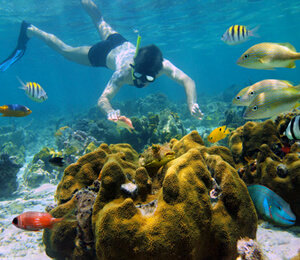 Bahamas Snorkeling