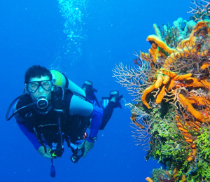 Nassau Bahamas Scuba Diving