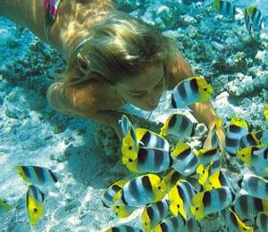 Exploring The Underwater World